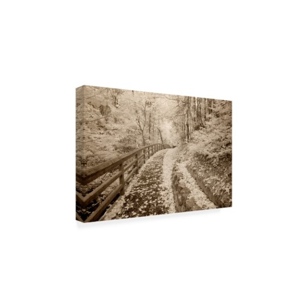 Monte Nagler 'Fence And Pathway Munising Michigan' Canvas Art,16x24